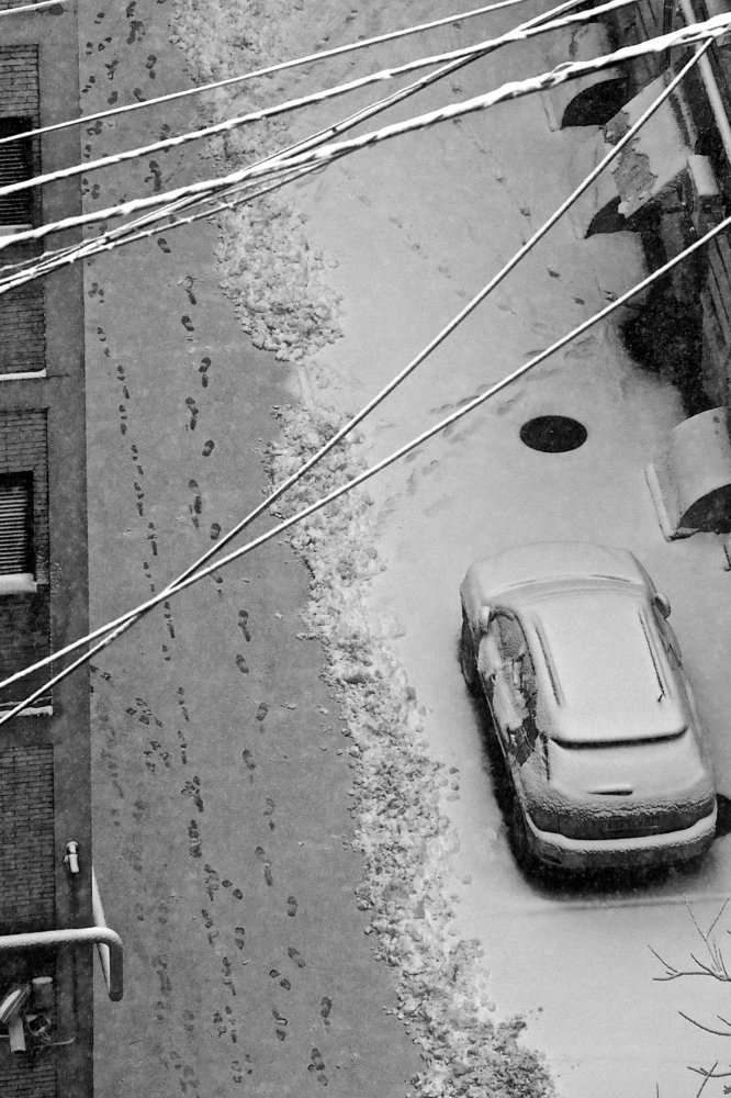 Фотография автора Наталья Васько -Черданцева