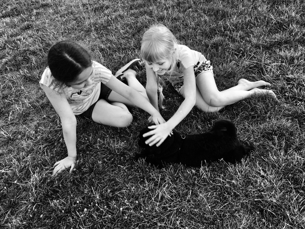 Photograph by Елена Ким