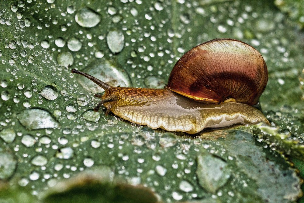 Photograph by Александр Стрельченко