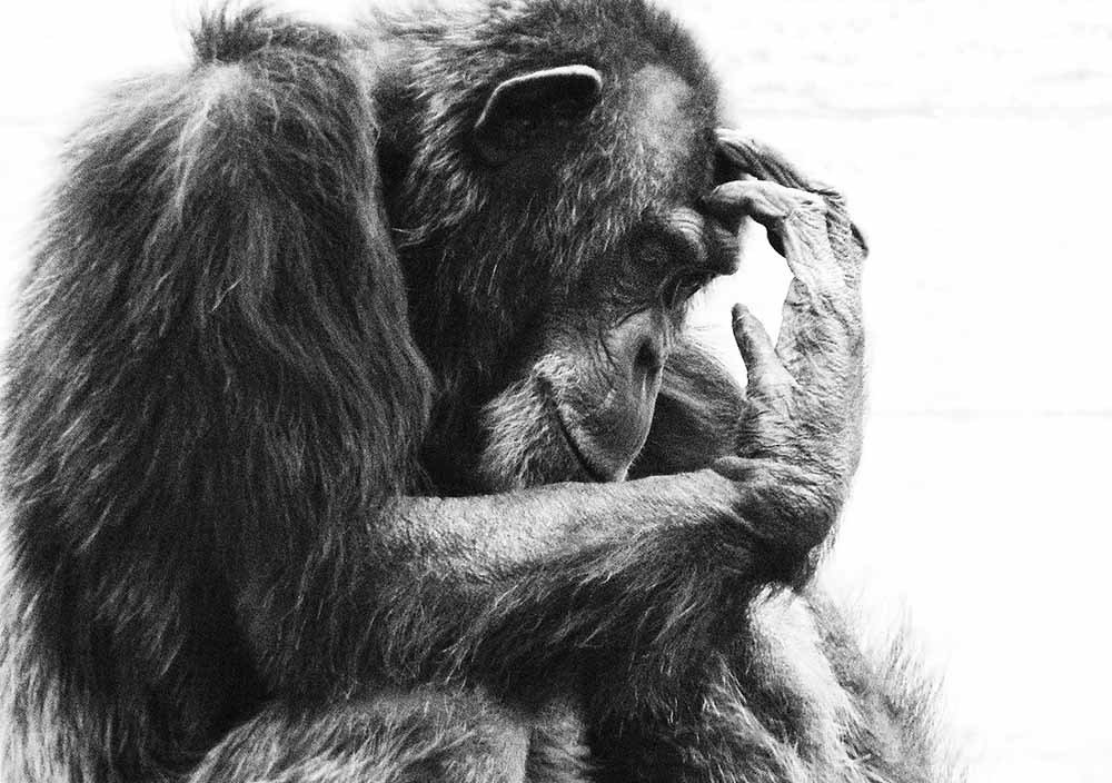 Photograph by Larisa