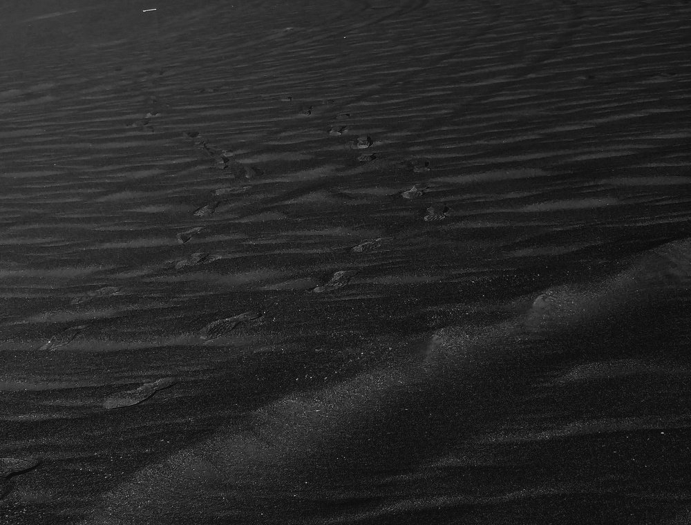 Photograph by Amirkasra baniasadi