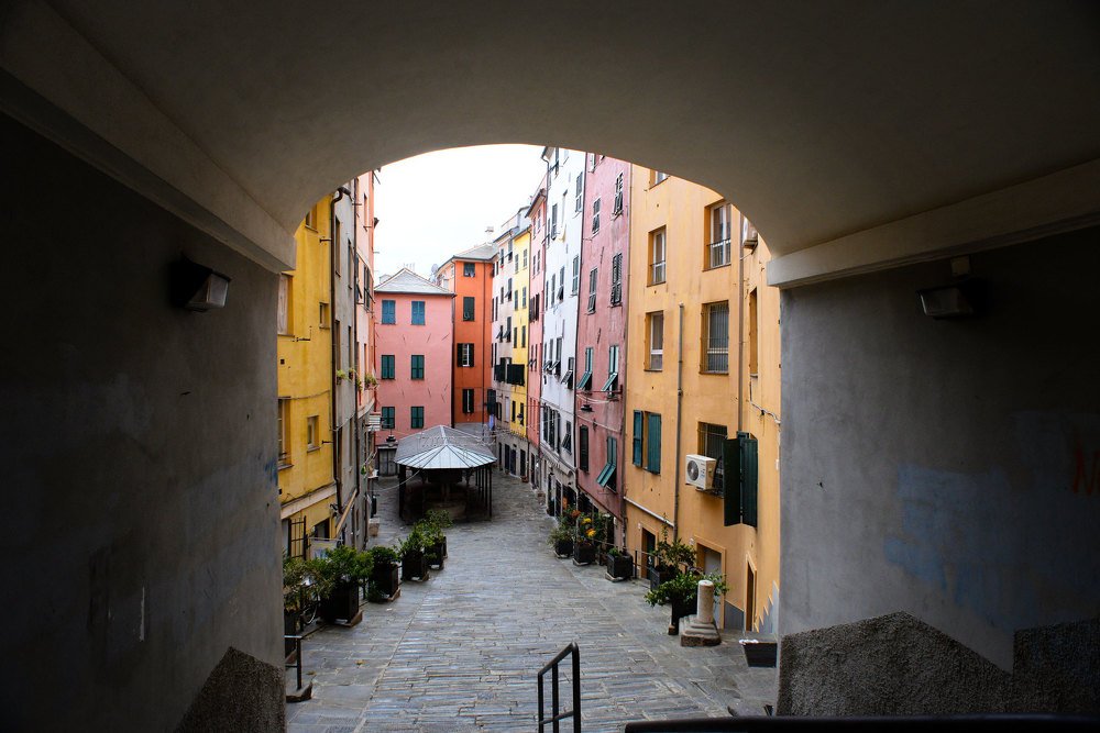 Фотография автора Александра Макаренко