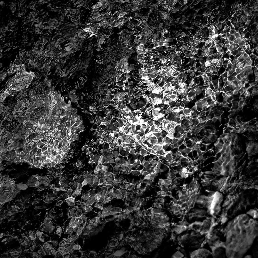 Photograph by Amirkasra baniasadi