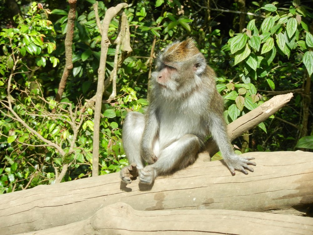 Photograph by Алексей Малеев