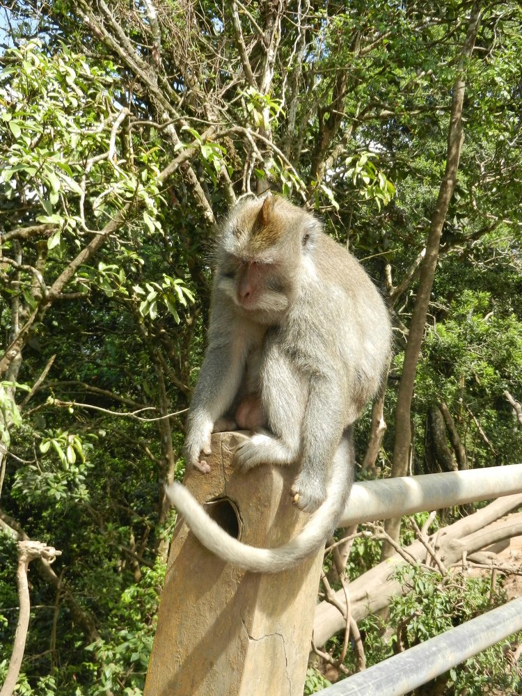 Photograph by Алексей Малеев