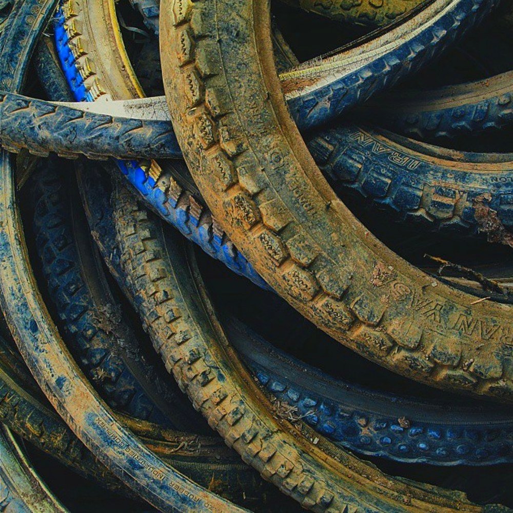 Photograph by Amirkasra baniasadi