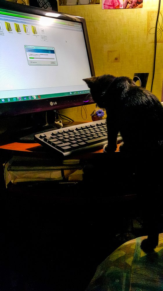 Вундеркинд