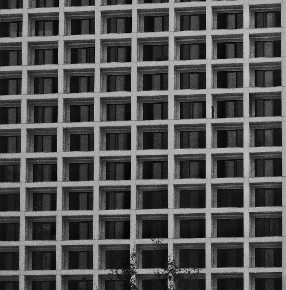 Photograph by Amirkasra baniasadi