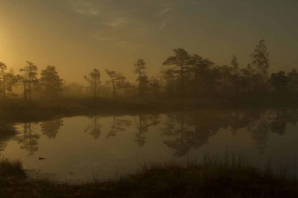 Photograph by Дмитрий Краковский