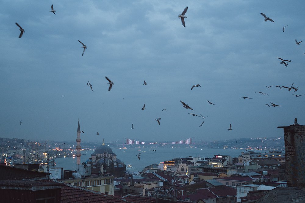 Photograph by Анатолий Гузенко