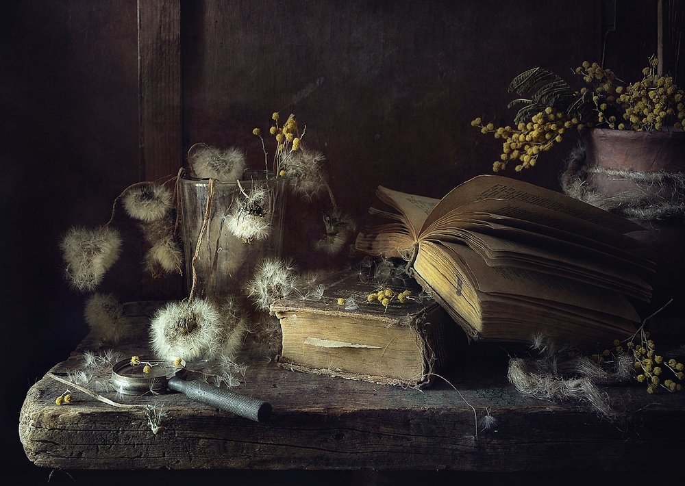 Время пушистиков..