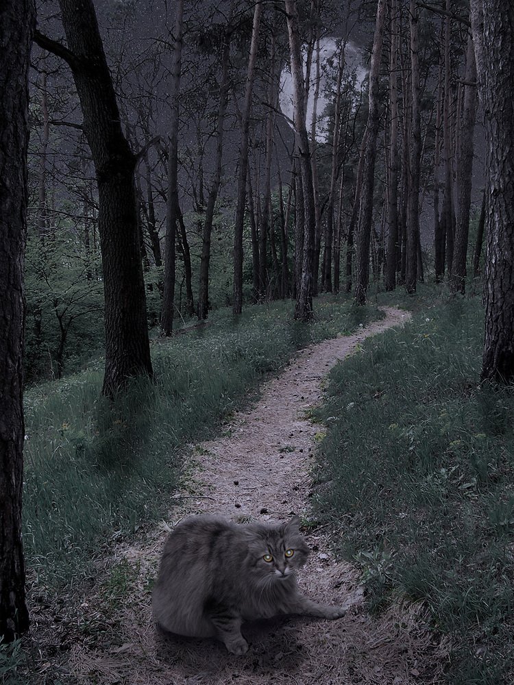 Photograph by Galitskiy