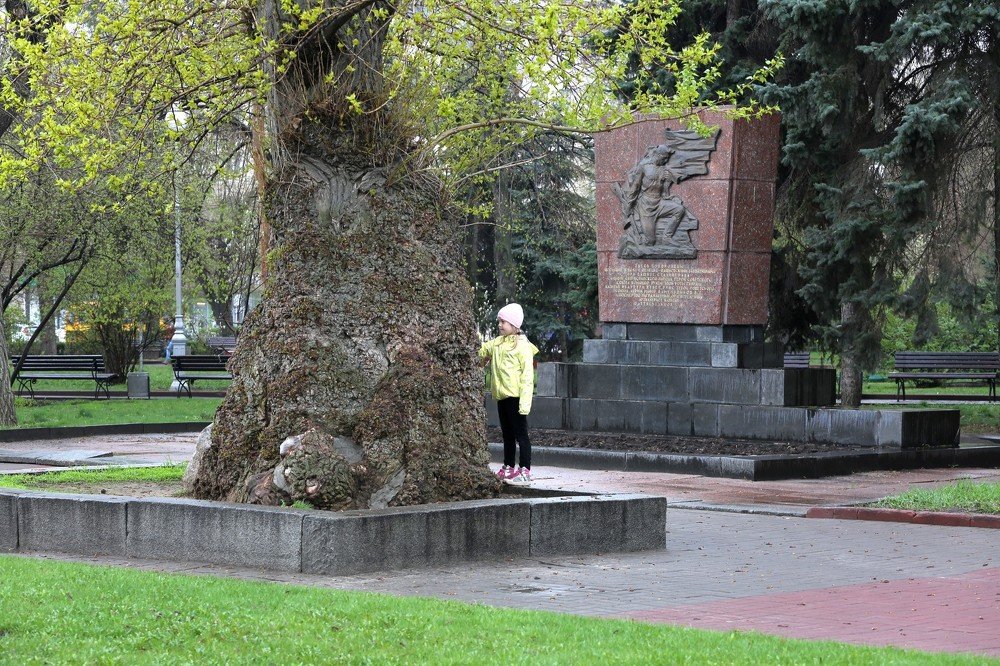 Photograph by Владимир