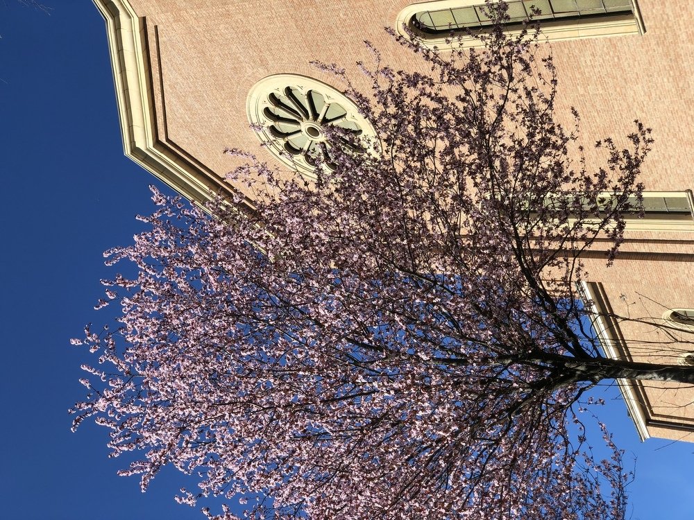 Photograph by Анастасия Лясович