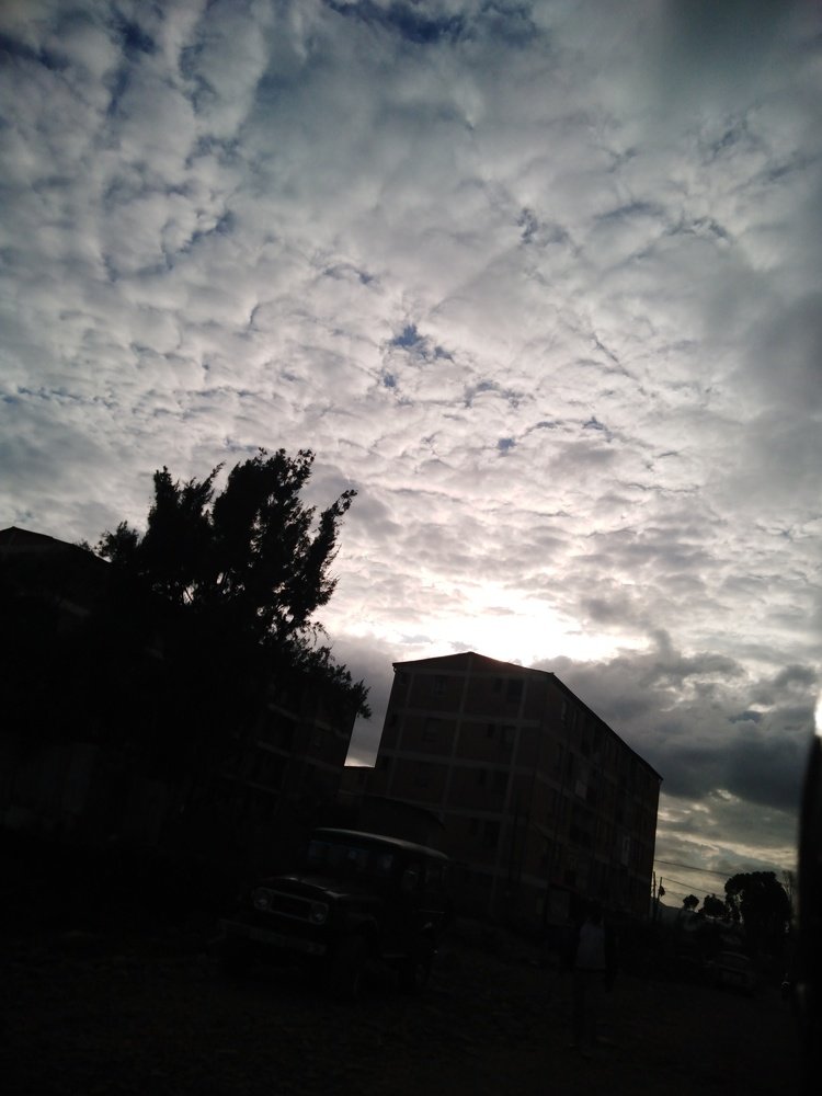 Photo #4000970