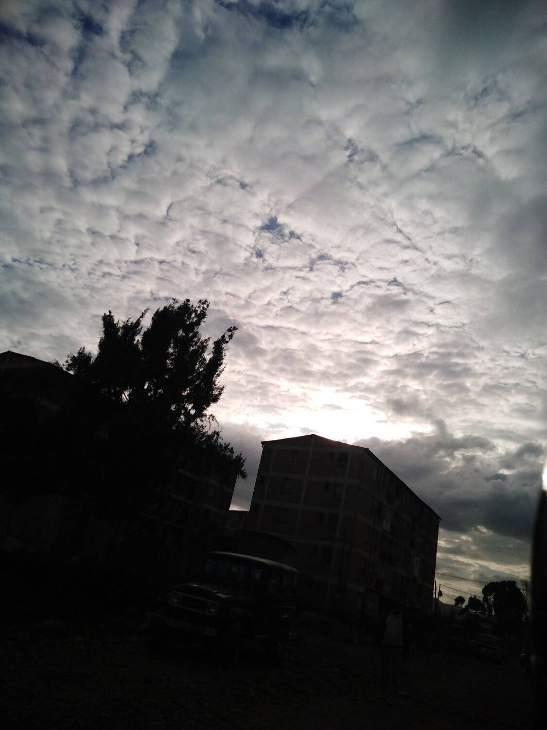 Photo #4000970