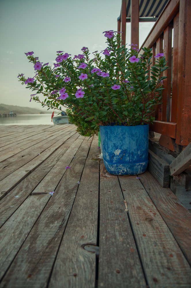 Photograph by Эдуард Демиденко