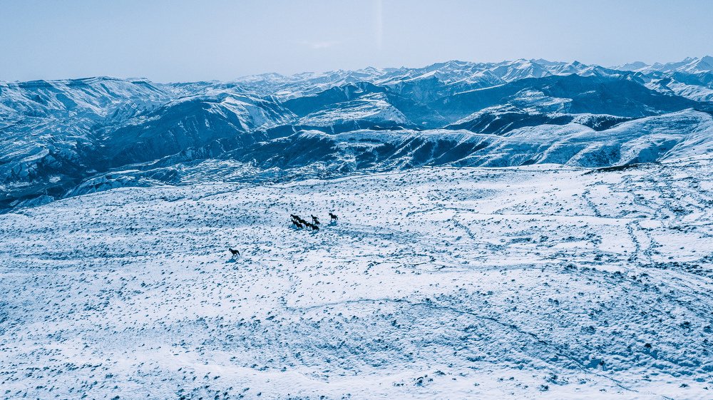 Photograph by Alexey Nikitin