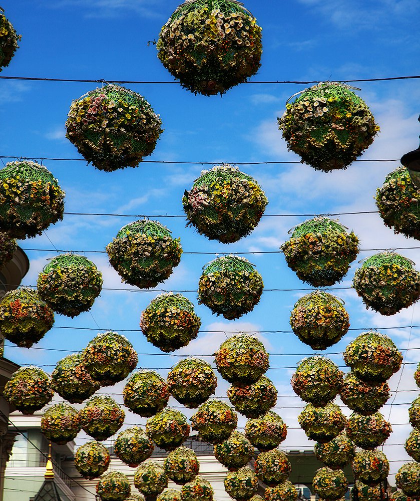 Photograph by Дмитрий Воробьёв