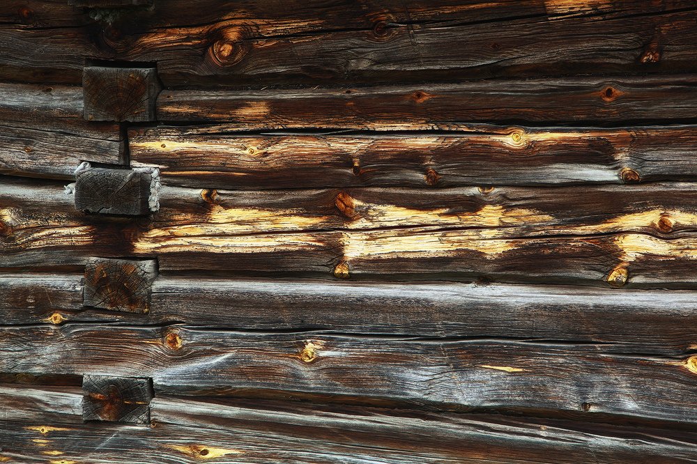 Photograph by Дмитрий Воробьёв