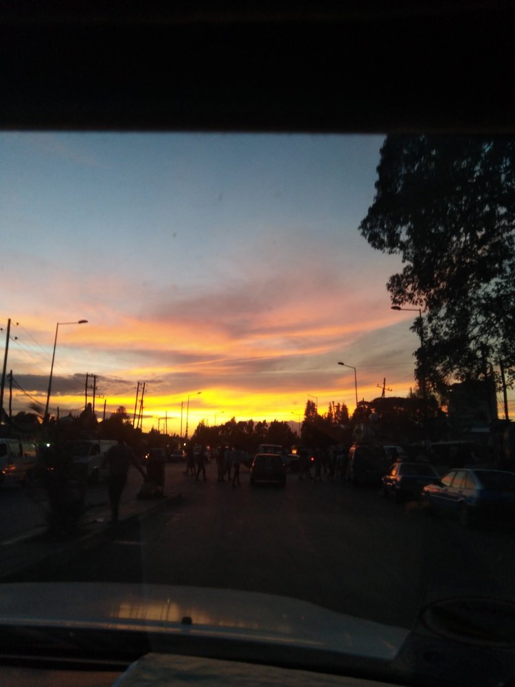 Photo #4001070