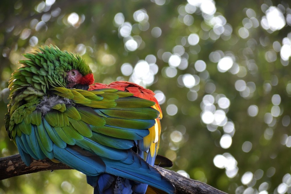 Photograph by Naga Bharath Vadla