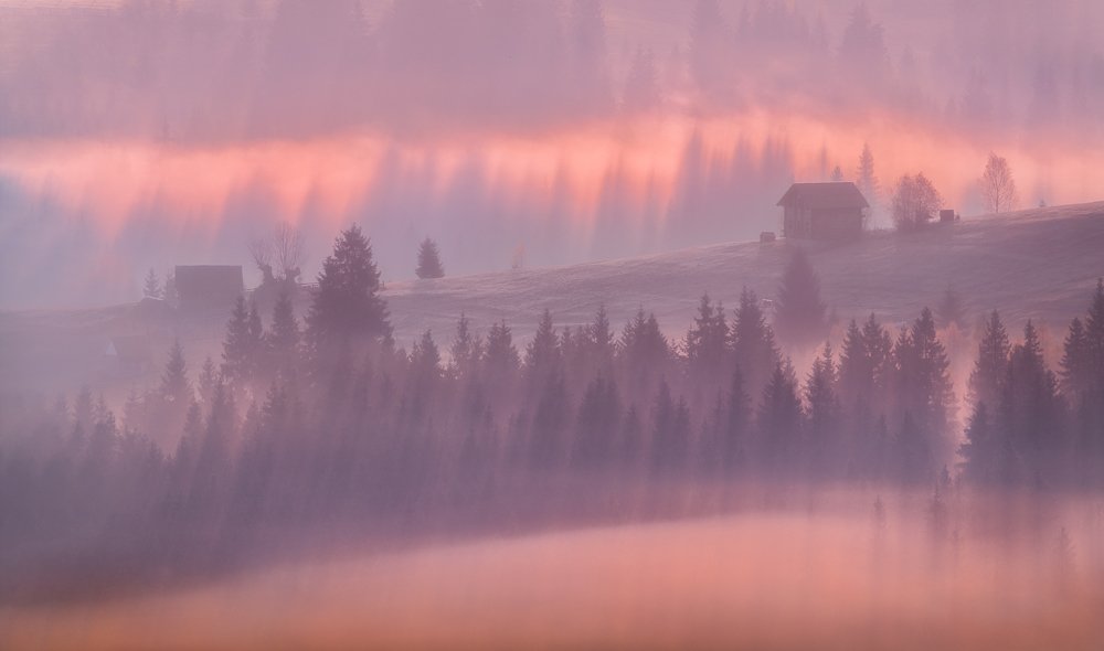 Розовое утро...