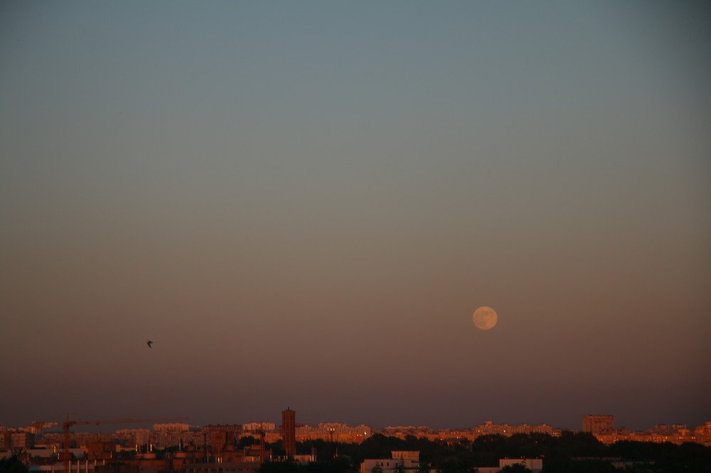 Photograph by Сергей Лобозов