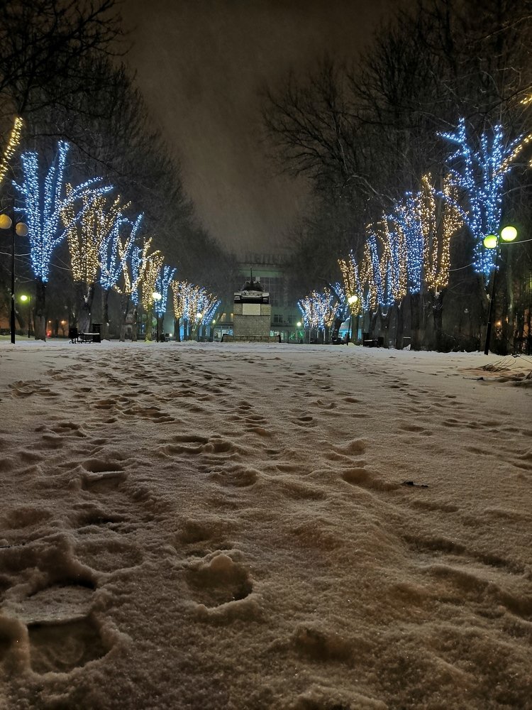 Photograph by Анна Голенева