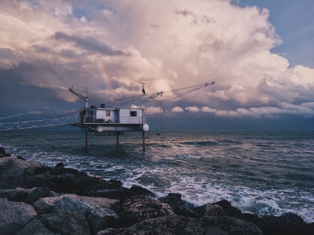 Photo #4001120