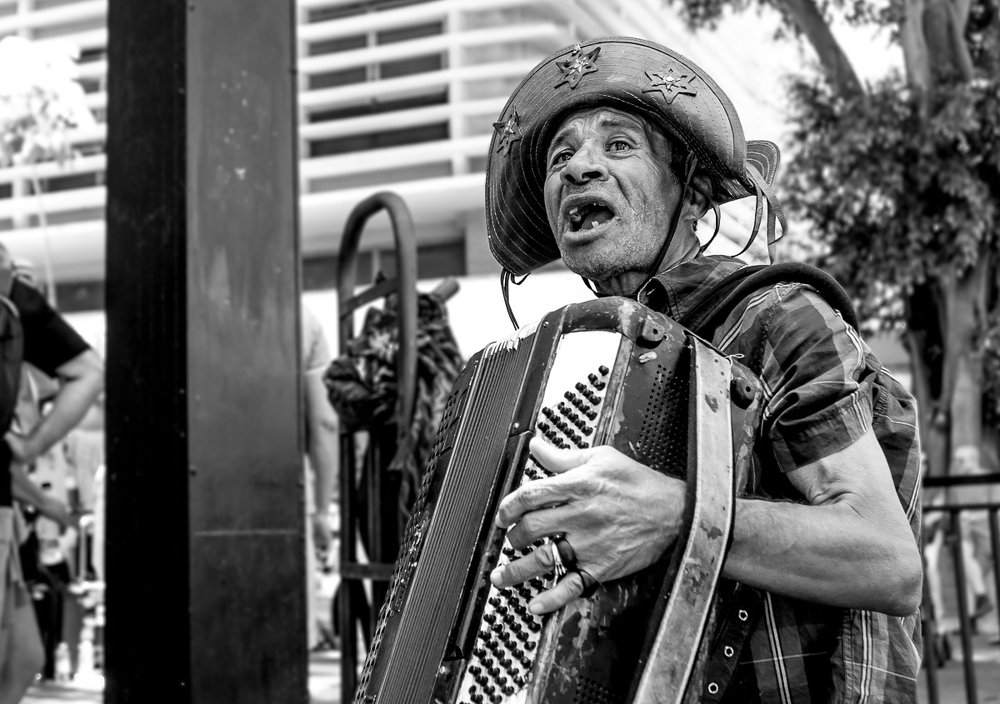 Photograph by Paulo R Coppola