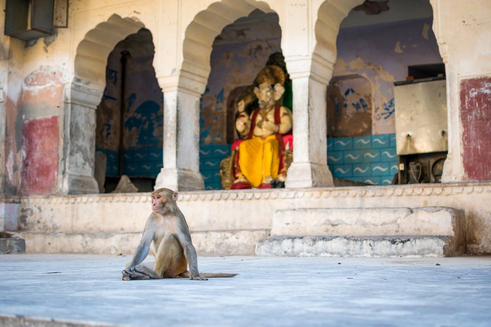 Photograph by Svetlana  Bakulina