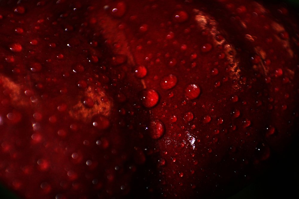 Фотография автора Алёна Новосельцева