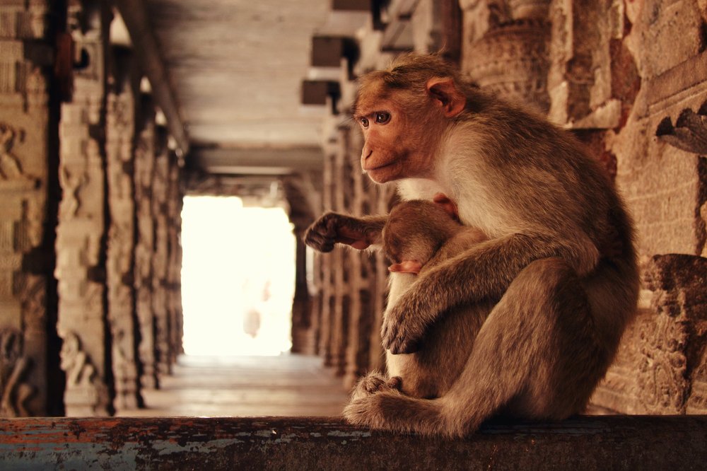 Photograph by Анна Милёшина