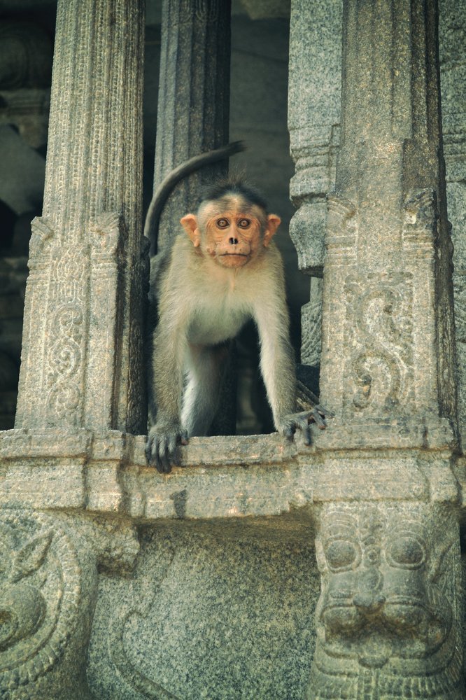 Photograph by Анна Милёшина