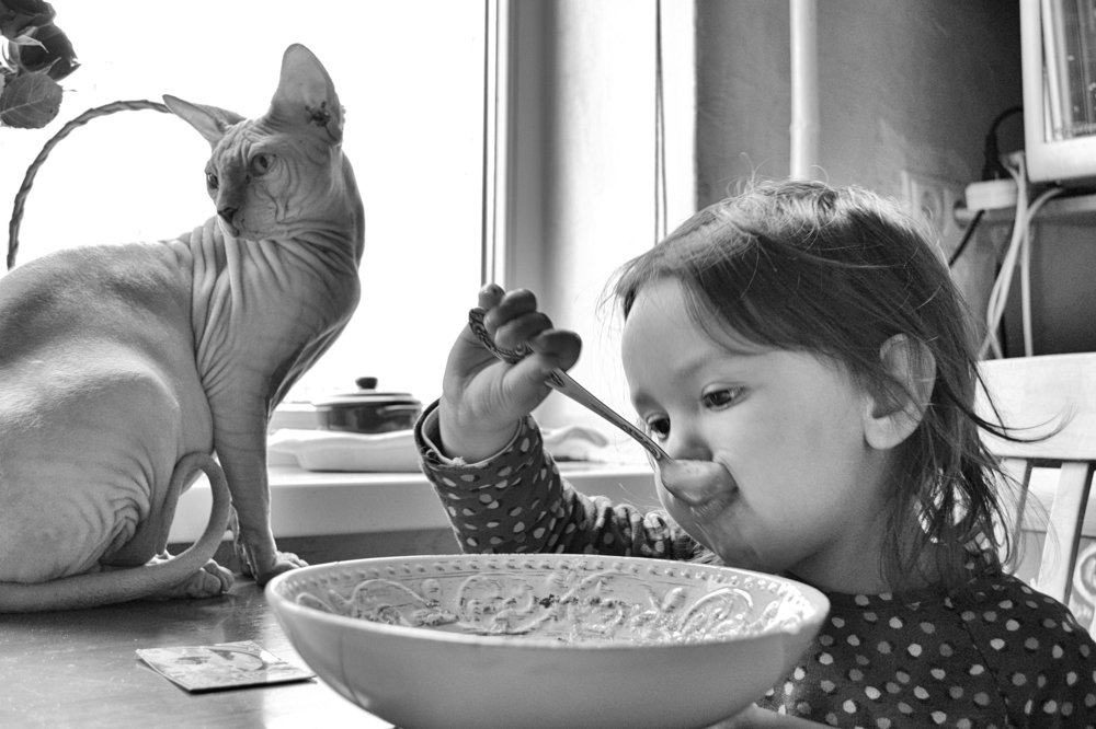 Photograph by Анна Милёшина