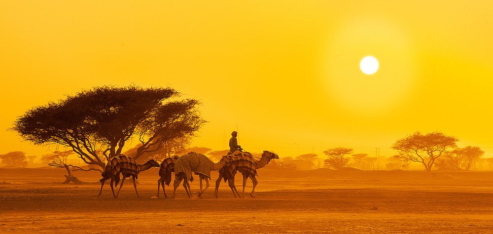 Photograph by Salim Alhajri