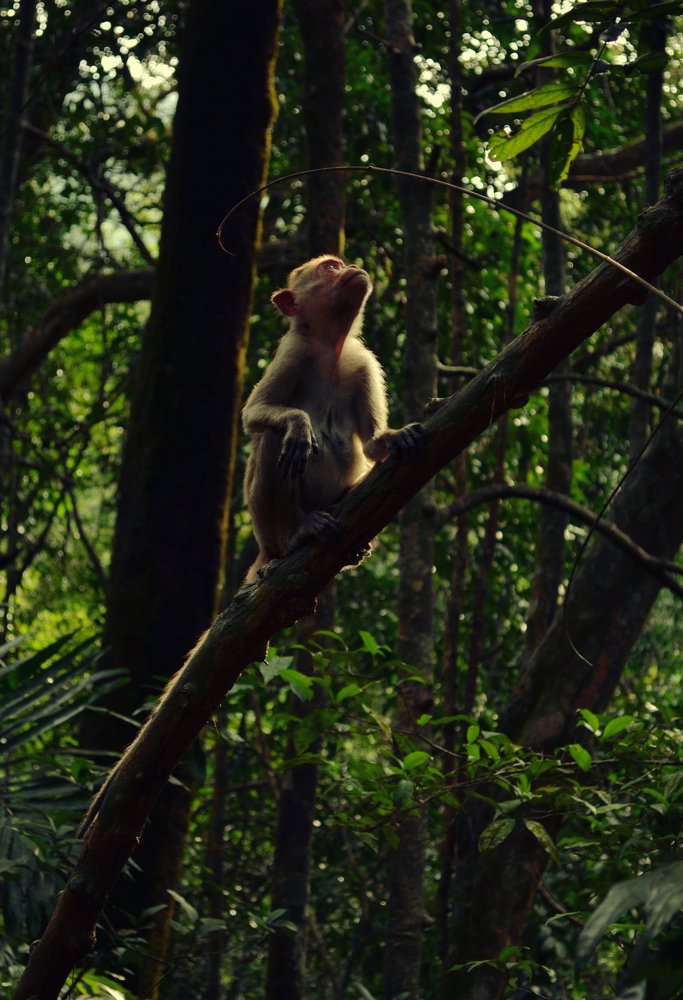 Photograph by Анна Милёшина