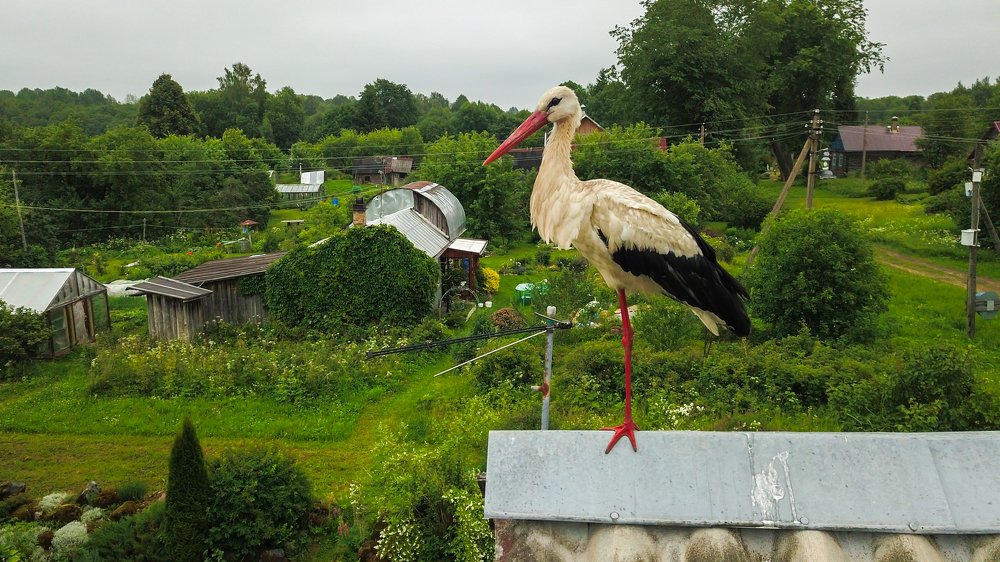 Photograph by Лавренюк Илья
