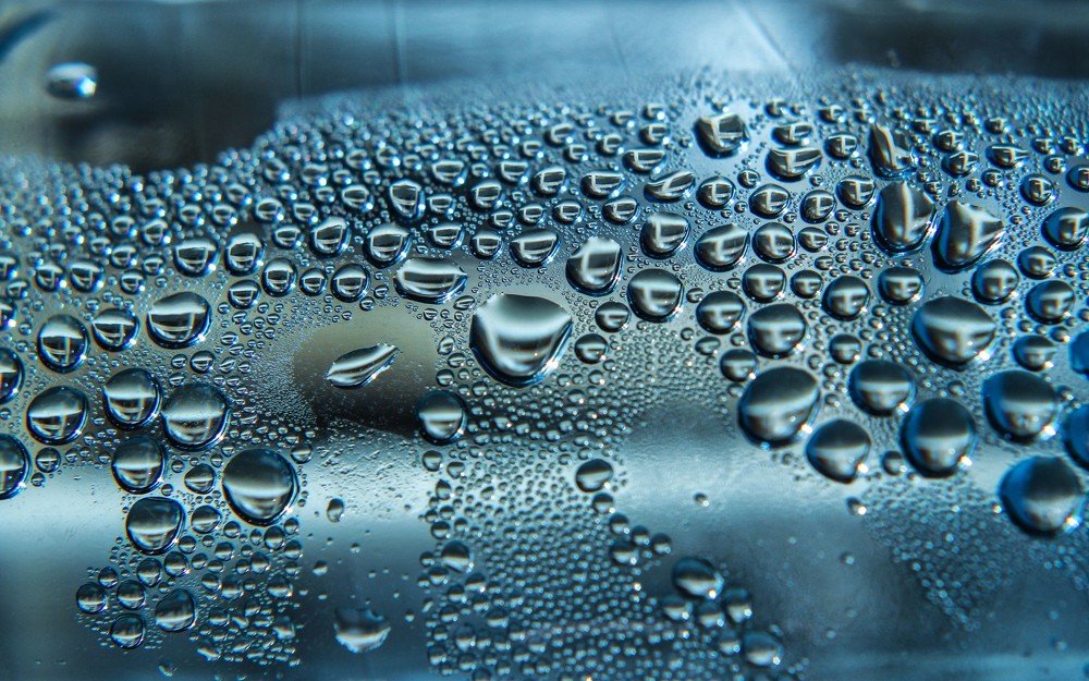 Photograph by Александра Шайдурова