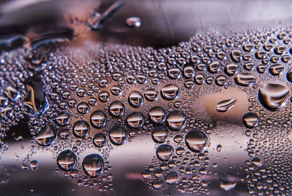 Photograph by Александра Шайдурова