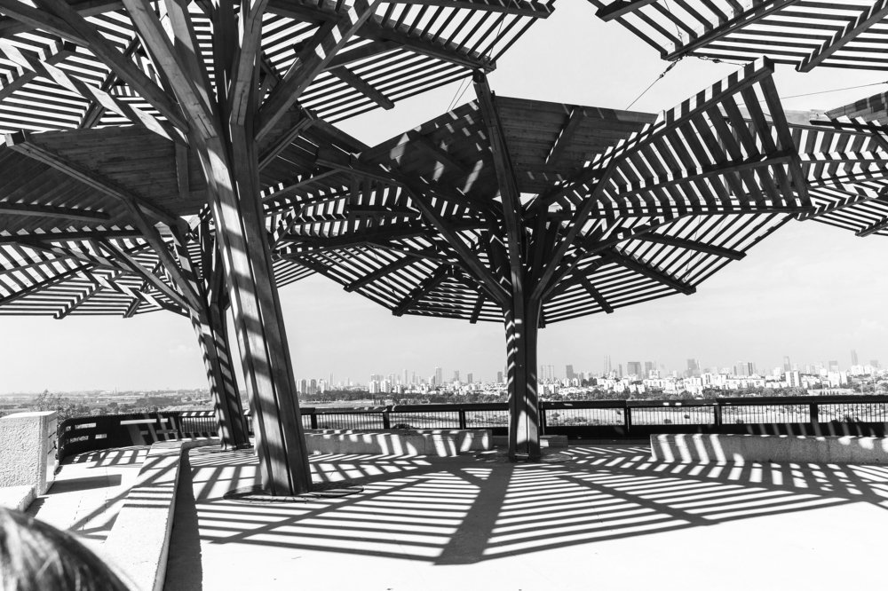 Photograph by Alina Gurfinkel