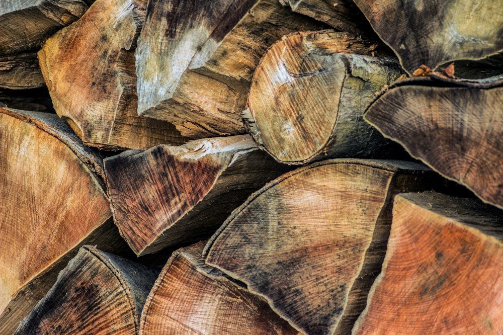 Photograph by Александра Шайдурова