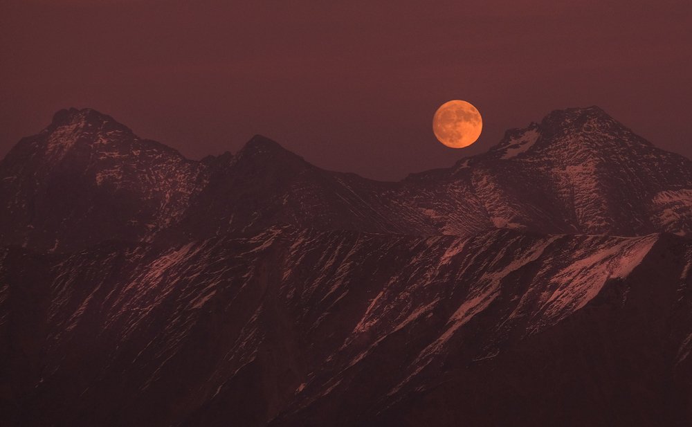 Photograph by Olga Krylova