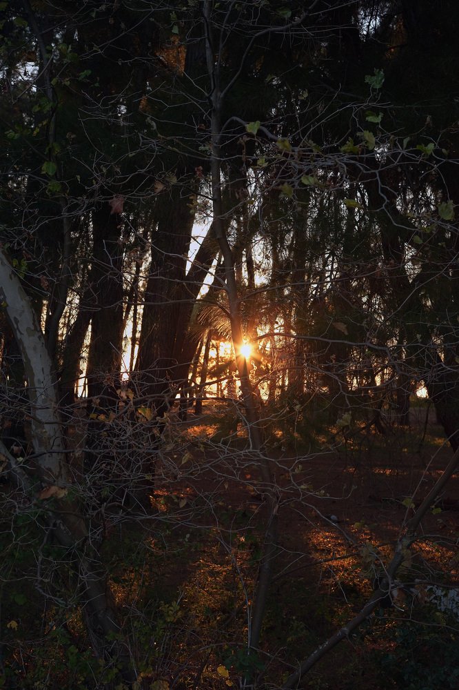 Photograph by Артем Большаков