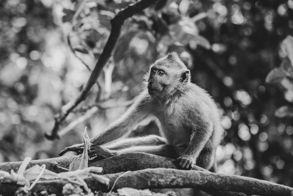 Повседневность