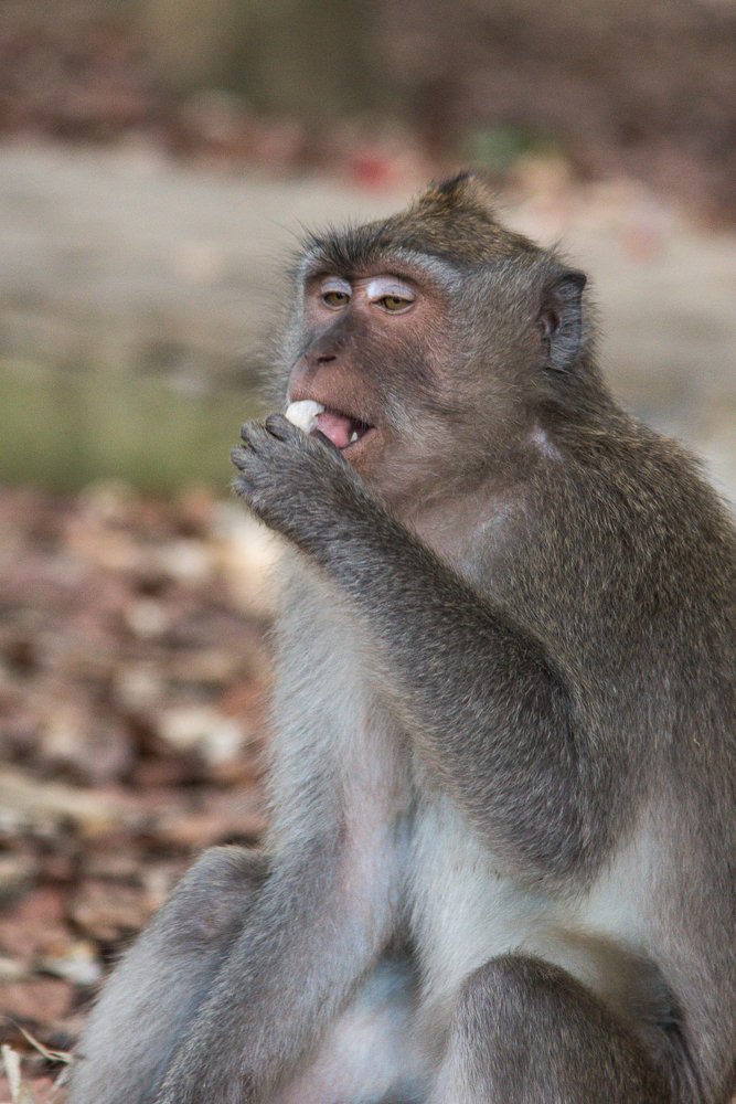 Райское наслаждение