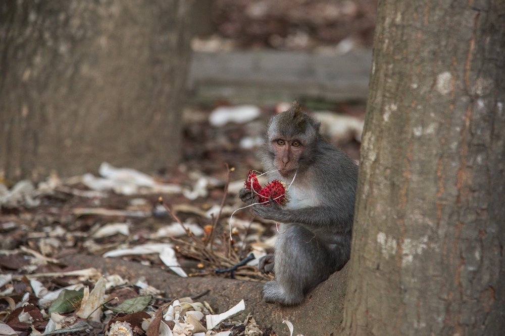 Зубная нить
