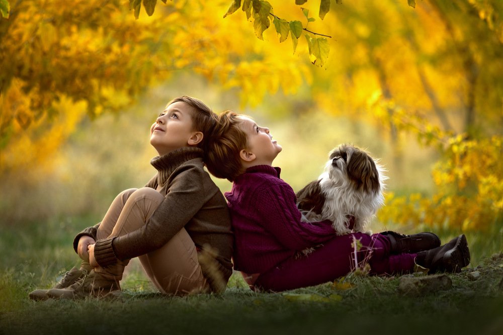 Фотография автора Ela Fatehi