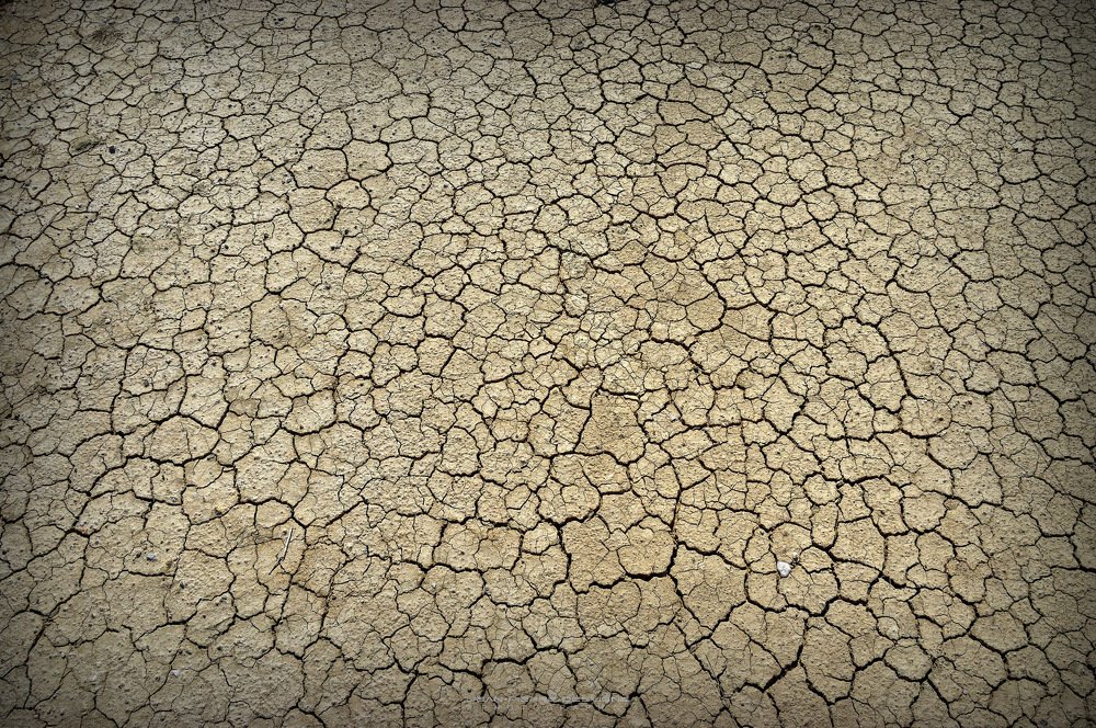 Photograph by Jean-Pierre Desvigne